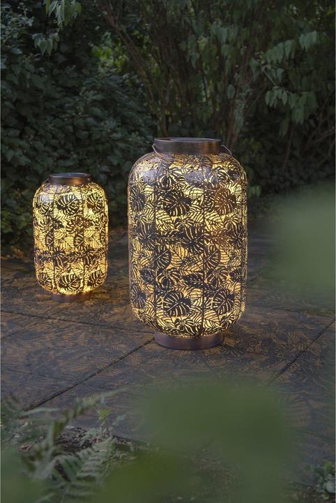 Produktbild STT Solar Antic Grand Jungle