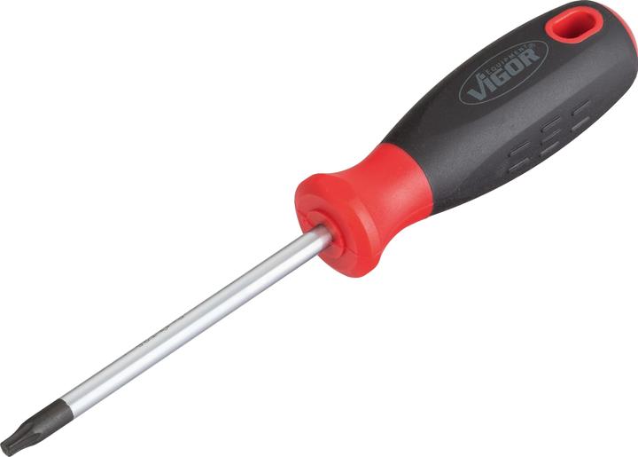 Actual product image Vigor Workshop Torx screwdriver (TX)