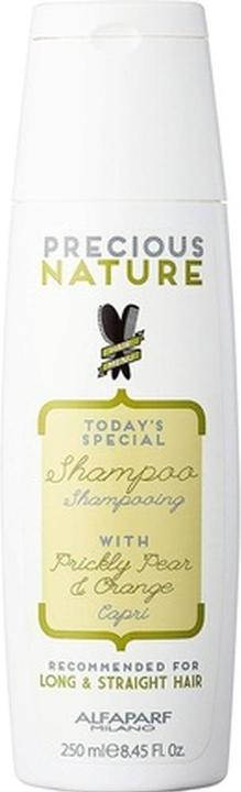 Immagine prodotto Alfaparf Pn Shampoo per capelli lunghi e lisci 250ml (250 ml, Shampoo liquido)