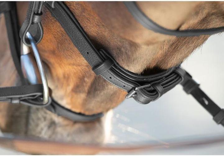 Produktbild HFI Master Soft