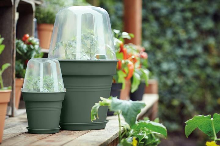 Produktbild Elho Geen Basics (27 cm)
