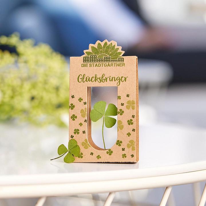 Produktbild Die Stadtgärtner Glücksbringer (9 x 5 x 2 cm)