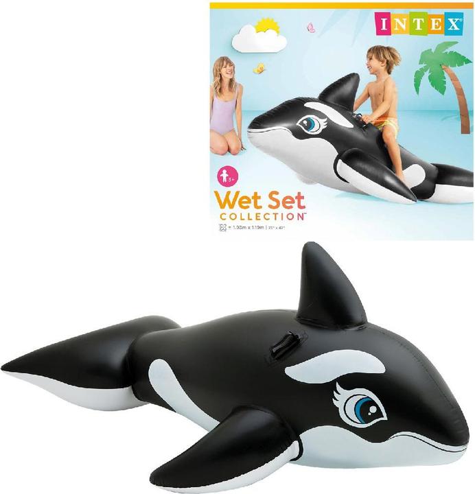 Actual product image Intex Whale