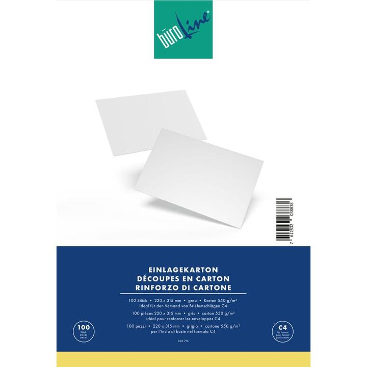 Produktbild BüroLine Einlagekartons (100 Stk.)