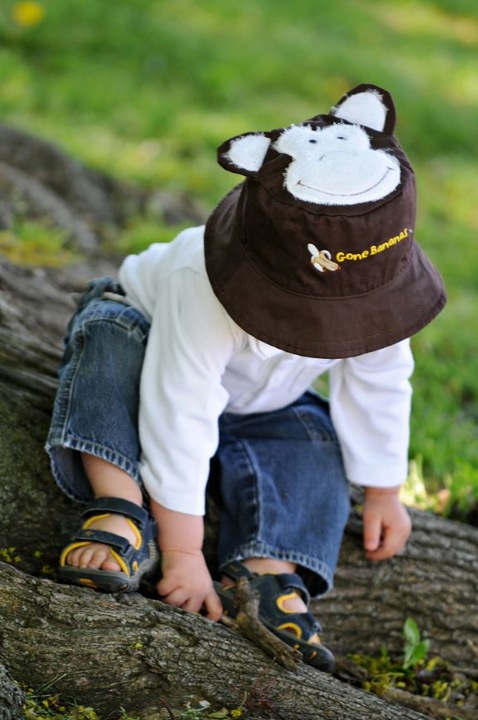 Actual product image flapjackkids Lion & Monkey (50)