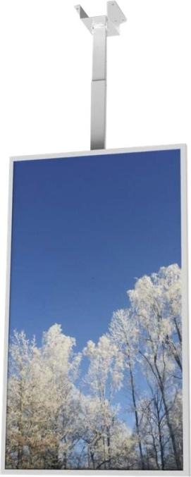 Productafbeelding HI-ND Plafondbehuizing Universeel voor Samsung 43"" & LG, 43"", Staand, niet kantelbaar Wit RAL 9003