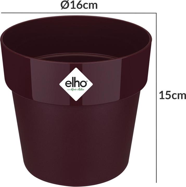 Actual product image Elho b.for original (16 cm)