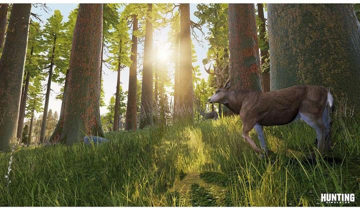 Actual product image Bigben Hunting Simulator (Switch, DE)