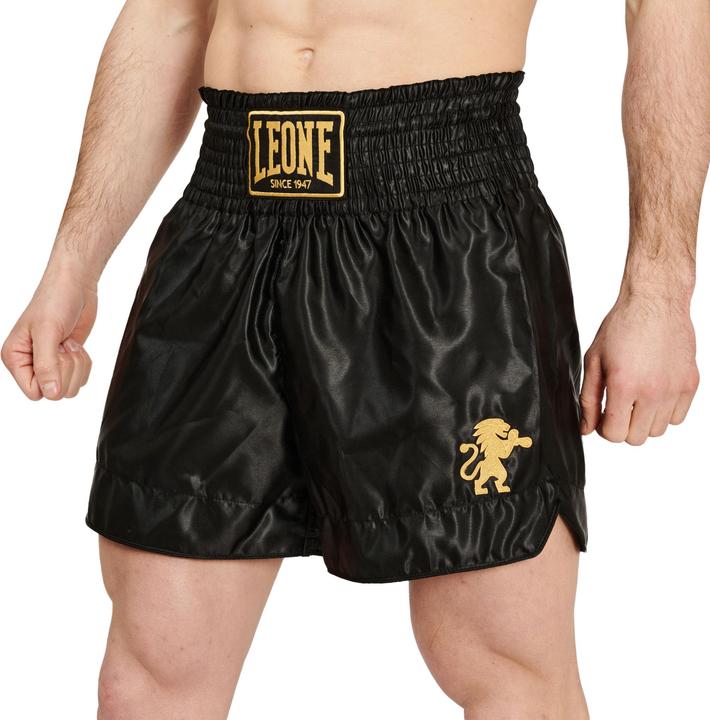 Produktbild Leone Basic 2 (L)