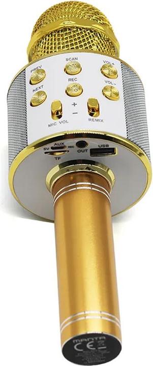 Actual product image Manta MIC10-G gold