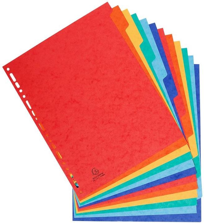 Exacompta Blank register - cardboard
