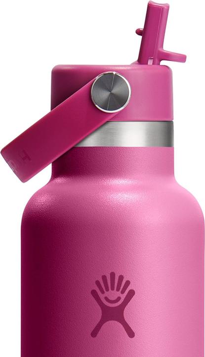 Actual product image Hydro Flask Flasche Standard Mouth Flex Straw Cap Reef (0.62 l)