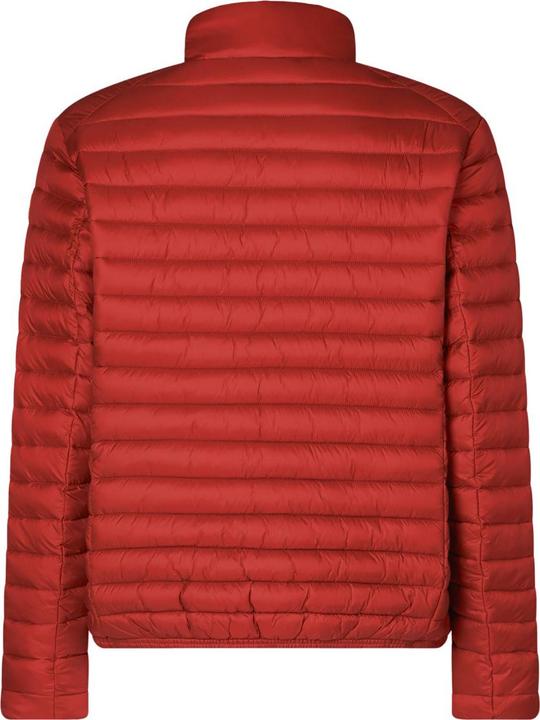 Produktbild Save the Duck Alexander - 64579 (XXL)