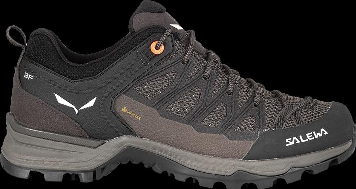 Produktbild Salewa MTN Trainer Lite GTX Schuhe (42)