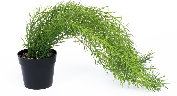 Immagine prodotto Domoletti Pianta artificiale (46 cm)