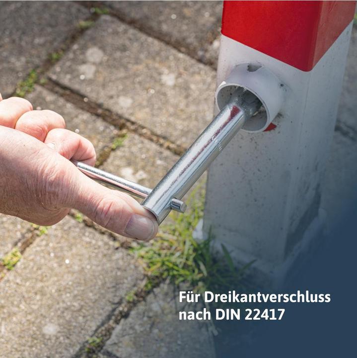 Actual product image Dönges Key for bollard, Economy, triangular M12