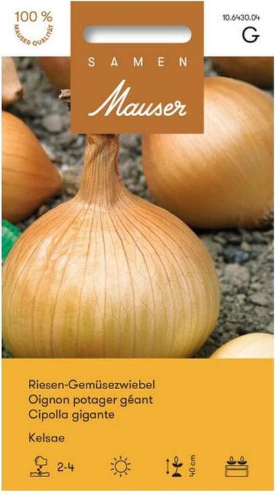 Samen Mauser Riesen-Gemüsezwiebel Kelsae (Blumenzwiebeln)