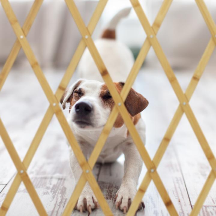 Actual product image Relaxdays Dog Gate, Wooden Pet Barrier for Door & Stairs