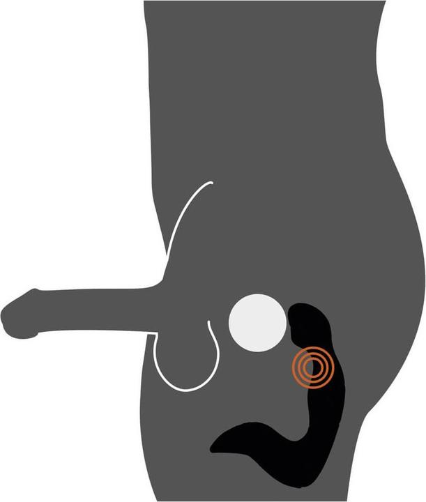 Image du produit Rebel Stimulateur de prostate rechargeable