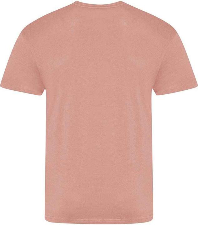 Image du produit Awdis The 100 TShirt (3XL)