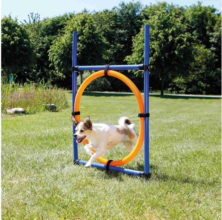 Produktbild Trixie Dog Activity Agility Ring (Agility)