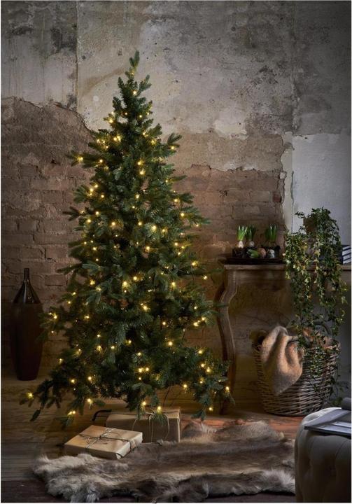 Immagine prodotto Star Trading Larvik (180 cm)