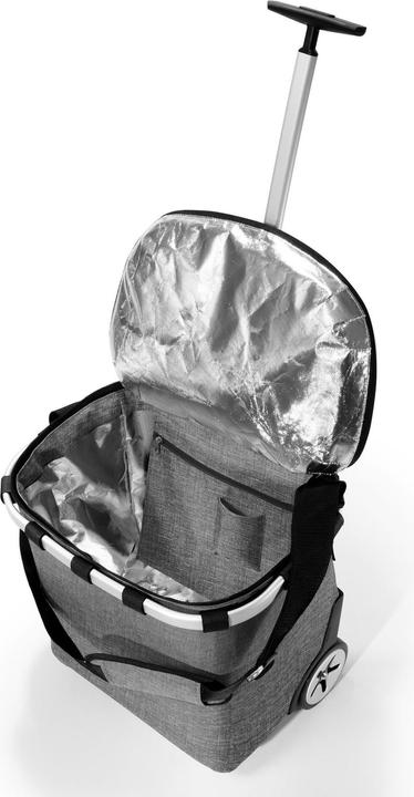 Actual product image reisenthel Carrycruiser (40 l)