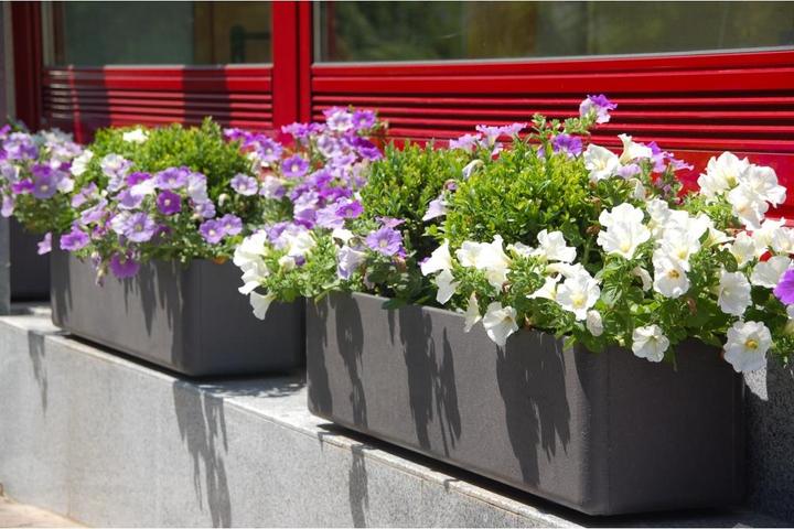 Image du produit Eternit Balconia (17 cm)