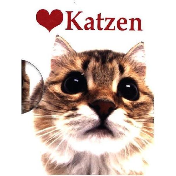 Thumbnail - Ich liebe Katzen, Ratgeber