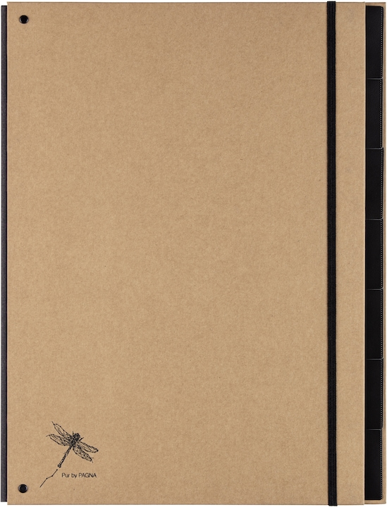 Produktbild Pagna Pultordner (A4, 1 x)