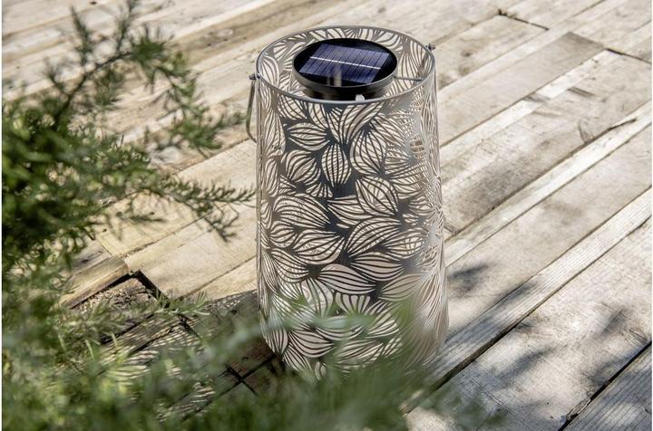 Image du produit STT Flora