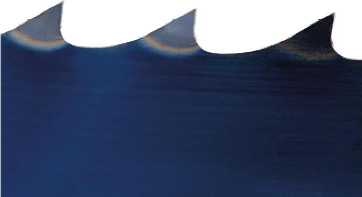 Immagine prodotto Holzstar Lama a nastro 1790 x 6 x 0,65 mm, 14 denti