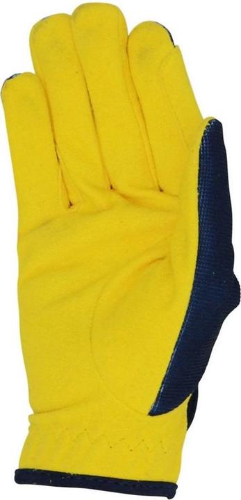 Produktbild Hy Equestrian Reithandschuhe Lancelot (XL)