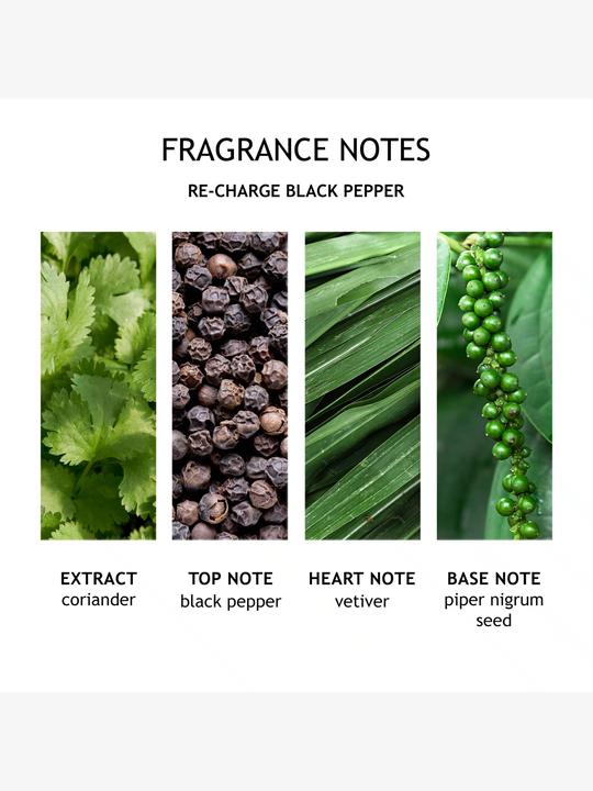 Produktbild Molton Brown Re-charge Black Pepper Body Lotion (Körperlotion, 300 ml)