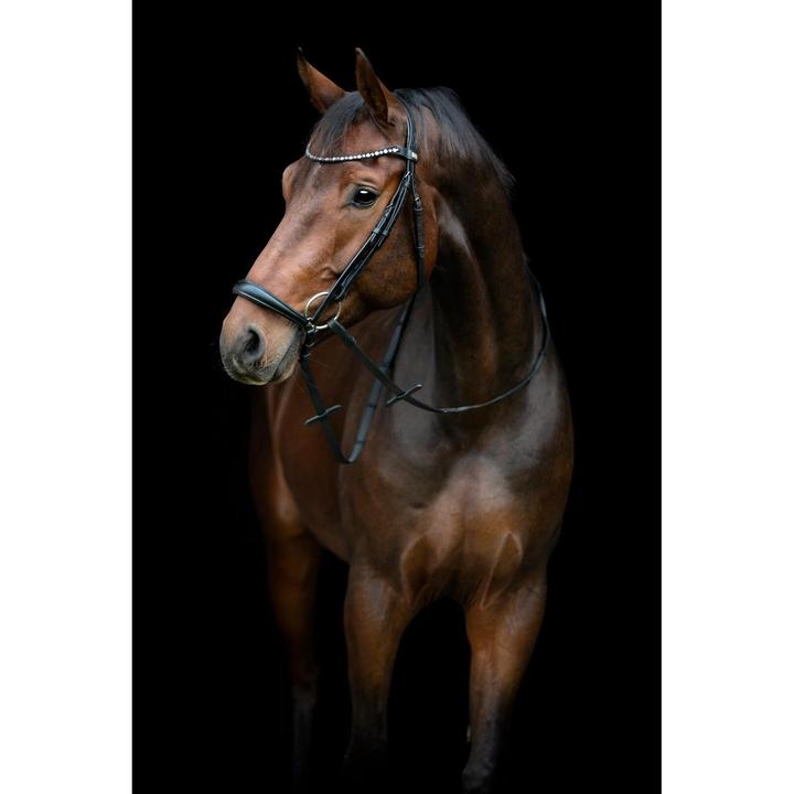 Actual product image Horse Guard Cryll 25.2