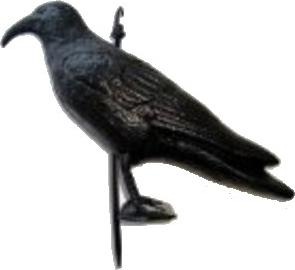 Produktbild Compass Möwenschreck Krähe