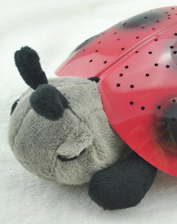 Produktbild Cloud B Twilight Ladybug Classic