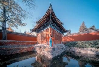 Productafbeelding Venus Optic Laowa 10-18mm f/4,5-5,6 Zoom Sony FE (Sony E, Volledig formaat)