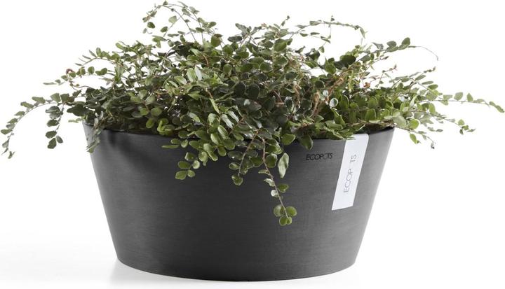 Produktbild Ecopots Frankfurt (50 cm)