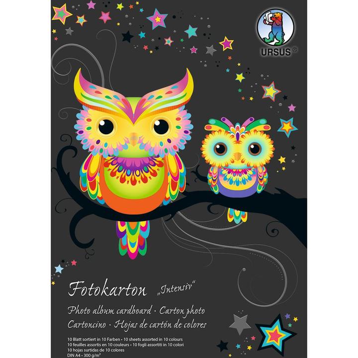 Immagine prodotto Ursus Blocco di cartone fotografico A4 3704699SE 300g, 10 colori int. 10 fogli (300 g/m², 1 x)