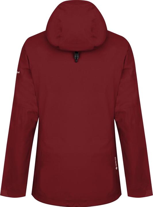 Produktbild Salewa Women's Puez GTX-Paclite Jacket (36, S)