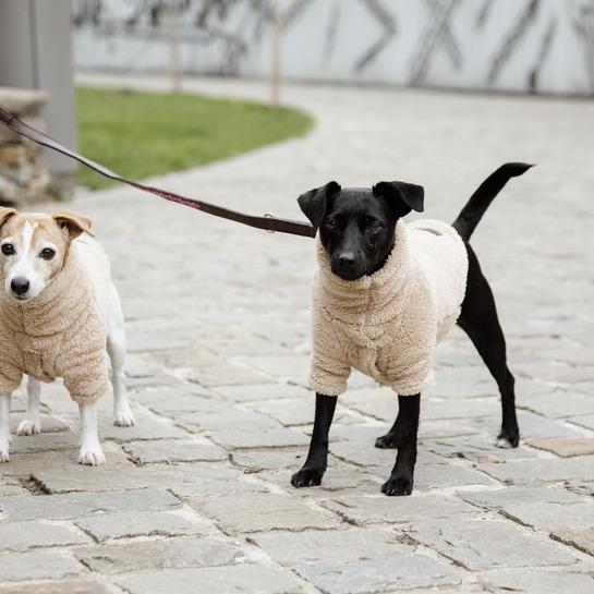 Actual product image Kentucky Dogwear Dogs Sweater Teddy Fleece (S, Dog jumper)