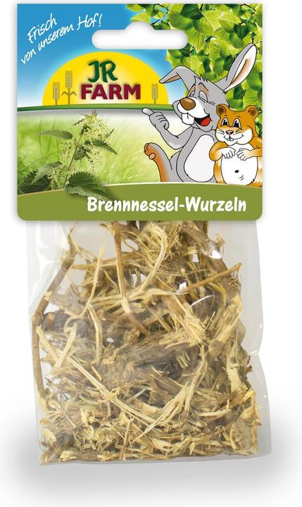 Brennnessel