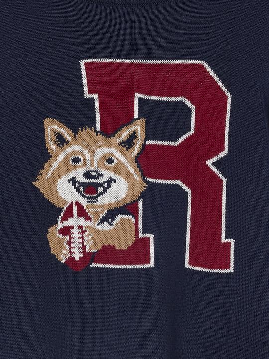 Actual product image Vertbaudet Jungen Pullover mit Tier-Maskottchen & Buchstaben R (116)