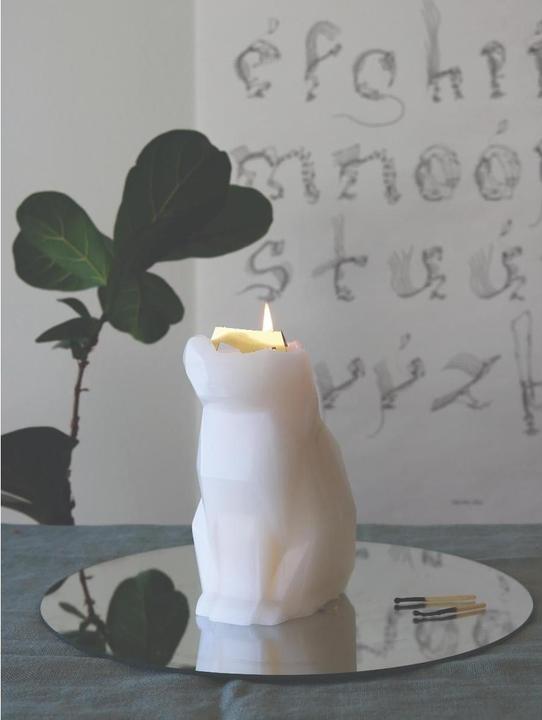 Actual product image 54Celsius PyroPet Kisa (1 pcs.)