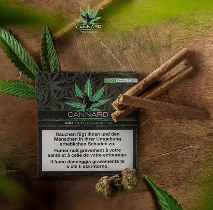 Villiger CBD Filter Cigarillos