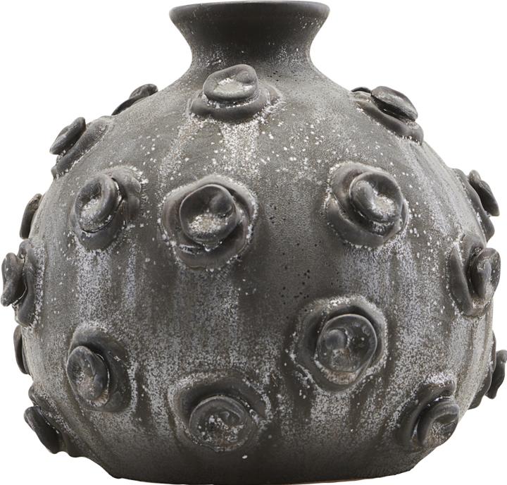 House Doctor Marv (1 x)