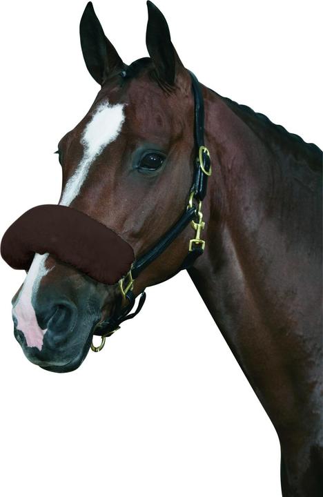 Immagine prodotto Horse Guard MediLamb