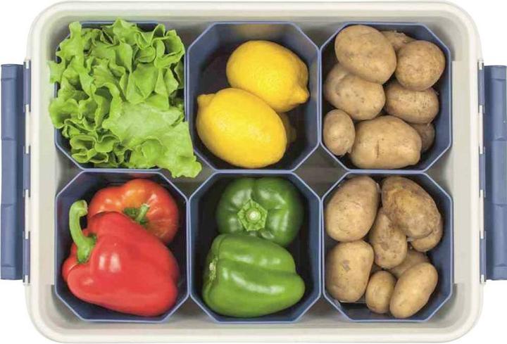Actual product image Orthex Professional box (59 x 39 x 34 cm, 50 l)
