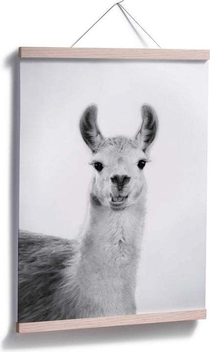 Produktbild Trenddeko Happy Lama (60 x 80 cm)